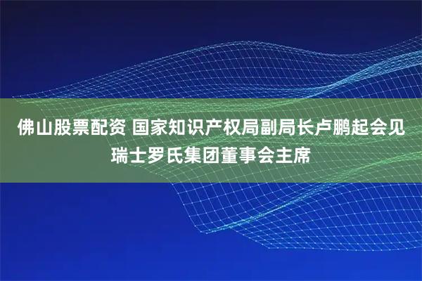 佛山股票配资 国家知识产权局副局长卢鹏起会见瑞士罗氏集团董事会主席