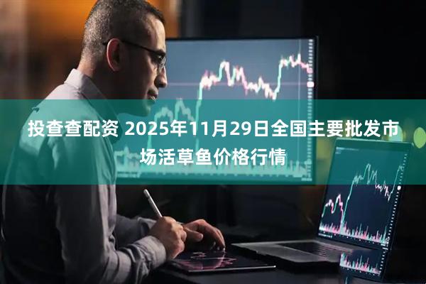 投查查配资 2025年11月29日全国主要批发市场活草鱼价格行情