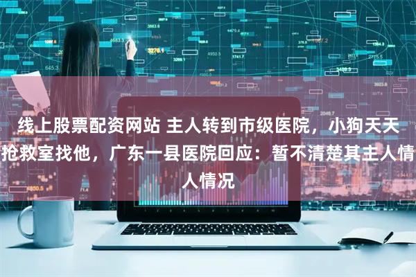 线上股票配资网站 主人转到市级医院，小狗天天来抢救室找他，广东一县医院回应：暂不清楚其主人情况
